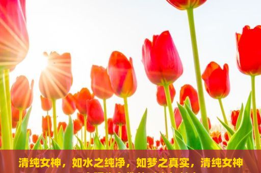 清纯女神，如水之纯净，如梦之真实，清纯女神，一个现代女性的时尚与魅力