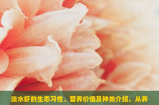 淡水虾的生态习性、营养价值及种类介绍，从养殖到餐桌的探索之旅
