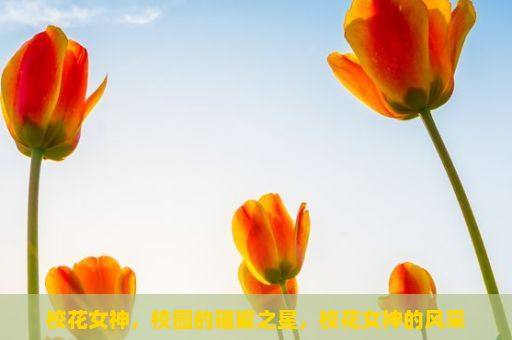 校花女神，校园的璀璨之星，校花女神的风采