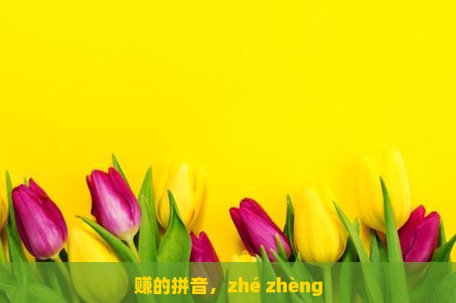 赚的拼音，zhé zhèng