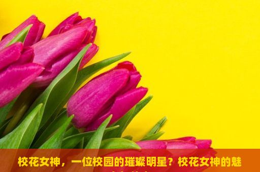 校花女神，一位校园的璀璨明星？校花女神的魅力与传奇