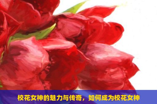 校花女神的魅力与传奇，如何成为校花女神