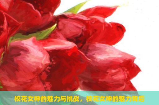 校花女神的魅力与挑战，校花女神的魅力背后