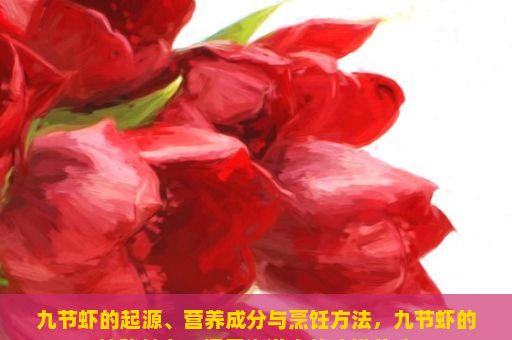 九节虾的起源、营养成分与烹饪方法，九节虾的神秘魅力，探索海洋中的珍馐美味