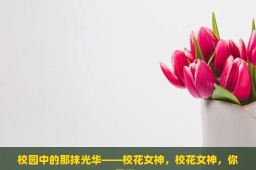 校园中的那抹光华——校花女神，校花女神，你是谁？