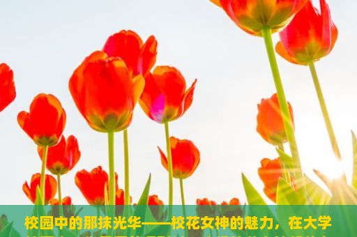 校园中的那抹光华——校花女神的魅力，在大学校园中，你是否曾遇到过一个像校花女神般的女孩？