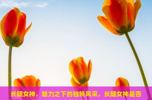 长腿女神，魅力之下的独特风采，长腿女神是否真的存在？