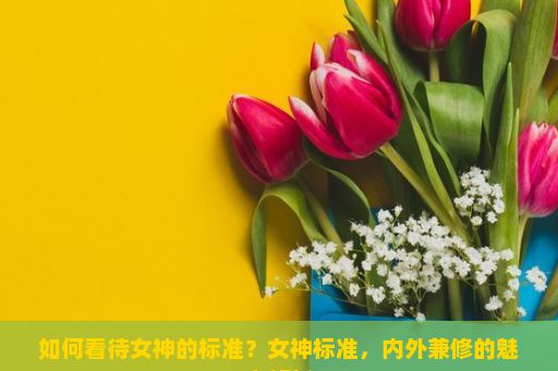 如何看待女神的标准？女神标准，内外兼修的魅力解析