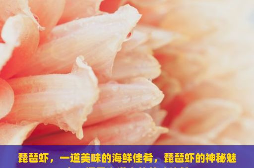 琵琶虾，一道美味的海鲜佳肴，琵琶虾的神秘魅力，探索海洋中的美味佳肴