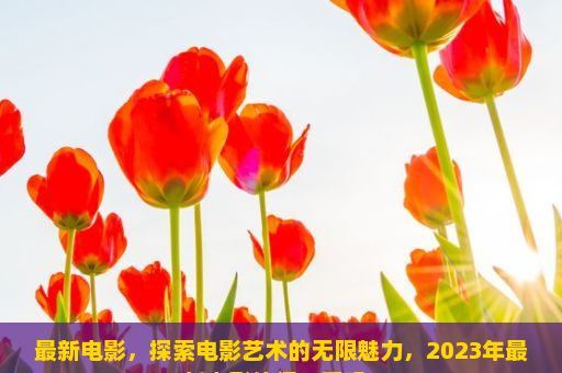 最新电影，探索电影艺术的无限魅力，2023年最新电影值得一看吗？