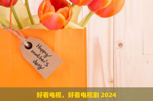 好看电视，好看电视剧 2024