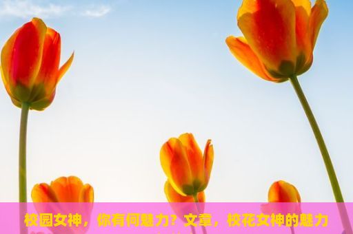 校园女神，你有何魅力？文章，校花女神的魅力与传奇