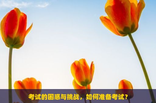 考试的困惑与挑战，如何准备考试？