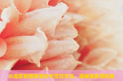 小龙虾的营养成分与烹饪方法，揭秘美食界的璀璨明珠，小龙虾的魅力之旅
