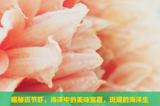 揭秘斑节虾，海洋中的美味宝藏，斑斓的海洋生物——斑节虾