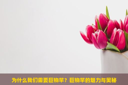 为什么我们需要巨物竿？巨物竿的魅力与奥秘