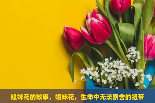 姐妹花的故事，姐妹花，生命中无法割舍的纽带