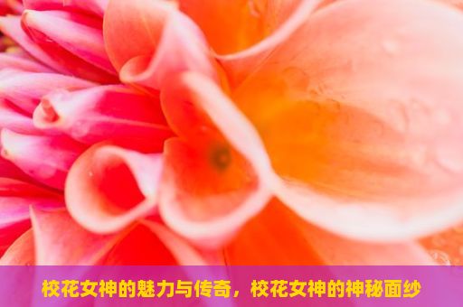 校花女神的魅力与传奇，校花女神的神秘面纱