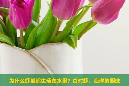 为什么虾类都生活在水里？白对虾，海洋的明珠，养殖的黄金