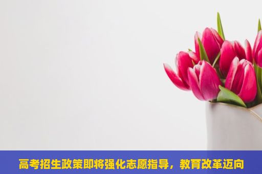 高考招生政策即将强化志愿指导，教育改革迈向新的阶段