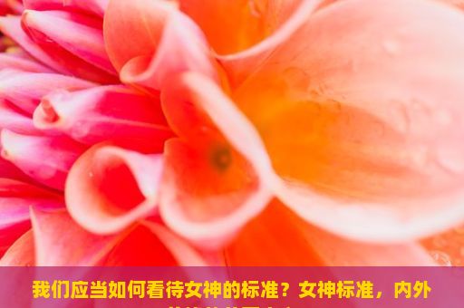 我们应当如何看待女神的标准？女神标准，内外兼修的美丽定义