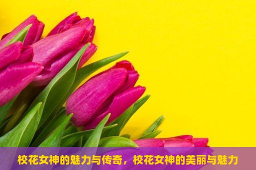 校花女神的魅力与传奇，校花女神的美丽与魅力