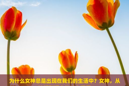 为什么女神总是出现在我们的生活中？女神，从神话到现实的魅力探索