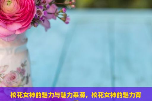 校花女神的魅力与魅力来源，校花女神的魅力背后