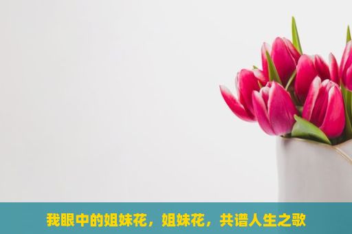 我眼中的姐妹花，姐妹花，共谱人生之歌