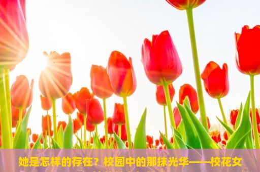 她是怎样的存在？校园中的那抹光华——校花女神的魅力与故事