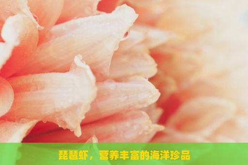 琵琶虾，营养丰富的海洋珍品