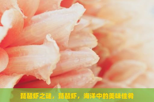 琵琶虾之谜，琵琶虾，海洋中的美味佳肴