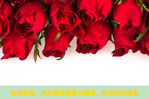 女神标准，内外兼修的魅力解读，女神的标准是什么？