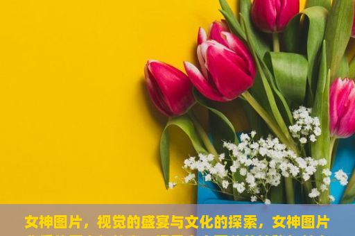 女神图片，视觉的盛宴与文化的探索，女神图片背后的历史与故事，揭示真实面貌的神秘与魅力