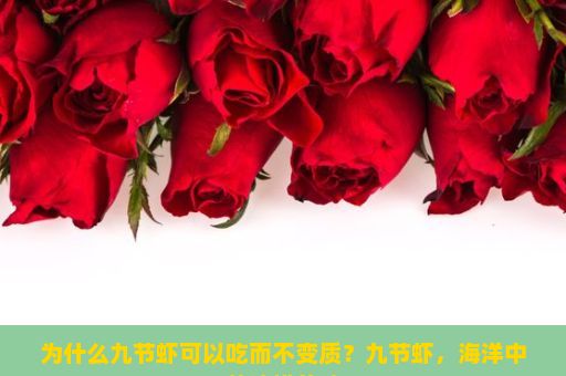 为什么九节虾可以吃而不变质？九节虾，海洋中的珍馐美味