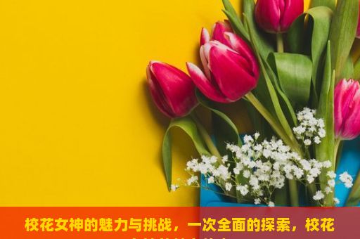 校花女神的魅力与挑战，一次全面的探索，校花女神的魅力传奇