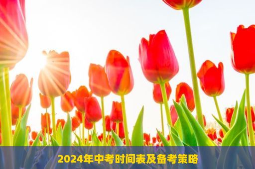 2024年中考时间表及备考策略