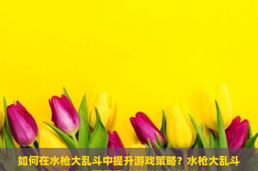 如何在水枪大乱斗中提升游戏策略？水枪大乱斗游戏，夏日狂欢的激情与策略