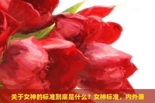 关于女神的标准到底是什么？女神标准，内外兼修的美丽与魅力