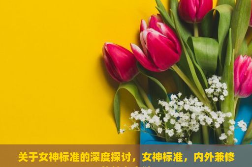 关于女神标准的深度探讨，女神标准，内外兼修的魅力之谜