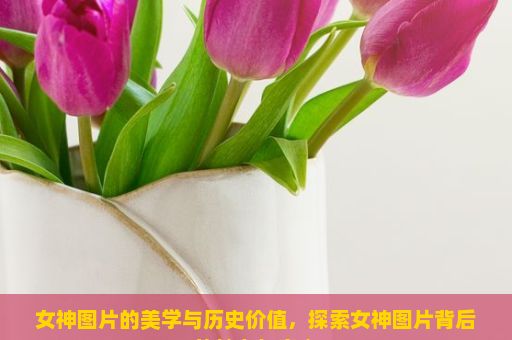 女神图片的美学与历史价值，探索女神图片背后的魅力与意义