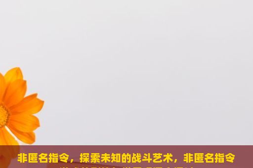 非匿名指令，探索未知的战斗艺术，非匿名指令游戏的剧情与世界观深度探讨