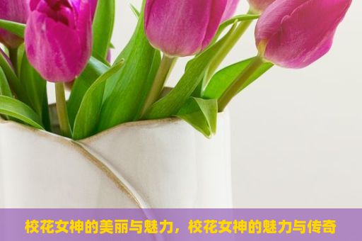 校花女神的美丽与魅力，校花女神的魅力与传奇