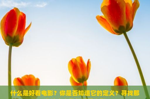 什么是好看电影？你是否知道它的定义？寻找那些让人心动的好看电影