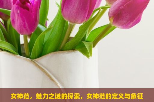 女神范，魅力之谜的探索，女神范的定义与象征