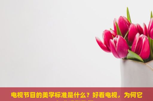 电视节目的美学标准是什么？好看电视，为何它如此吸引我们？