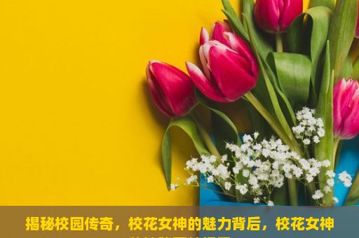 揭秘校园传奇，校花女神的魅力背后，校花女神的神秘面纱揭开