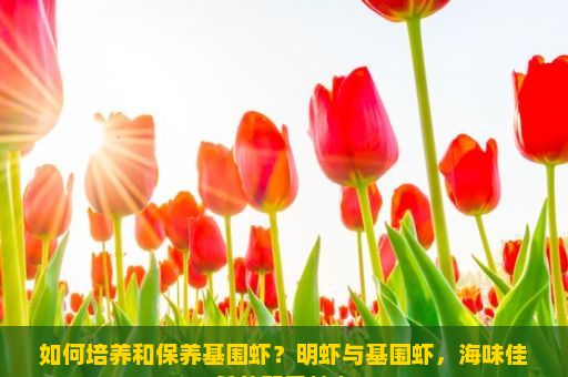 如何培养和保养基围虾？明虾与基围虾，海味佳肴的双重魅力