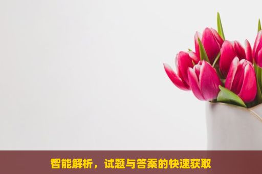 智能解析，试题与答案的快速获取