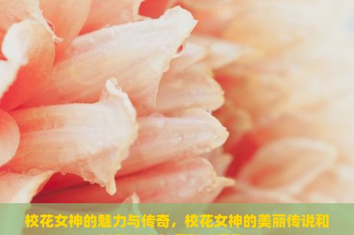 校花女神的魅力与传奇，校花女神的美丽传说和神秘魅力如何影响了我？